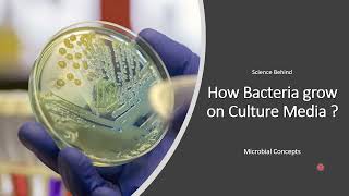 The Science behind How do Bacteria grow on Culture Media  Bacterial colony Formation  Basics [upl. by Atinehs]