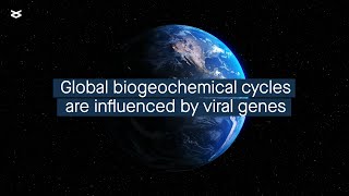 Auxiliary metabolic genes lend insight into the role of viruses in global biogeochemical cycles [upl. by Anaud]