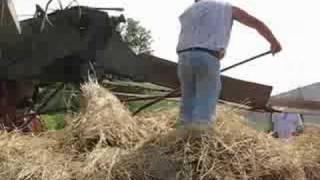 Wheat Threshing 2008 [upl. by Nednil]