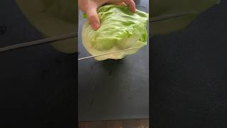 Iceberg Lettuce Vegetable Cutting Skills cuttinggarden cuttingfruit cuttingskills [upl. by Aneehsor264]