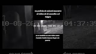 miami la policía releva video de lo sucedido al taigre justicia para José [upl. by Ahsiemac]