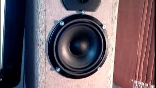 Monacor SPM1168 home made speaker  TPA3116 test [upl. by Aurita]