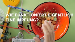 wie funktioniert eigentlich EINE IMPFUNG [upl. by Ayifas]