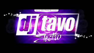 Dj Tavo  Mix ElectroNoviembre 2013 [upl. by Theobald]