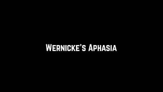 Brocas Aphasia vs Wernickes Aphasia [upl. by Safir]