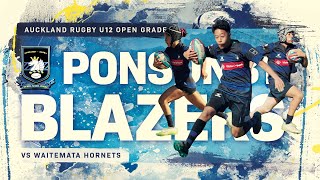 U12  Ponsonby Blazers vs Waitemata Hornets  Junior Rugby Highlights [upl. by Rentsch]