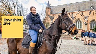 Stekense Paardenwijding voor paarden en honden  VERSIE MET UITLEG  ikwashierlive in Land van Waas [upl. by Rogerg]