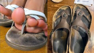 well worn and footprints flat sandals collection [upl. by Sile370]