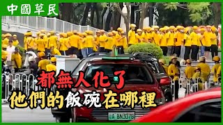 都無人化了他們的飯碗在哪裡Reaction video外賣員網約車人工智能失業 [upl. by Dougherty]