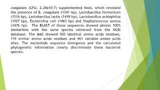 Molecular Identification of Gut Microflora of Bacillus Coagulans Supplemented Feed Fed Macrobrachium [upl. by Ursola488]