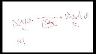 L63 FATTY ACID SYNTHESIS [upl. by Karry]