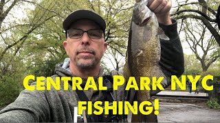 Bank fishing Central Park New York City [upl. by Keller]