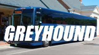 How is Bus Travel in the United States Going GREYHOUND [upl. by Elle]