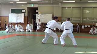 KODOKAN GOSHIN JUTSU 2017 2 [upl. by Nyrac]