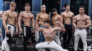 Workout Motivation  Aesthetics Takeover Ft David Laid Lexx Little Matt Ogus amp more [upl. by Darahs]