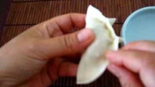 How to make mandu or dumpling [upl. by Politi]