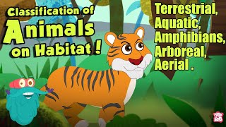 HABITAT OF ANIMALS  Classification Of Animals On Habitat  The Dr Binocs Show  Peekaboo Kidz [upl. by Caitrin]