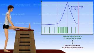 La souplesse  bases neurophysiologiques 12 [upl. by Eiraminot]