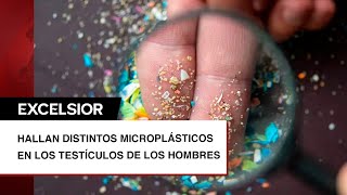 Hallan microplásticos cancerígenos en los testículos de los hombres [upl. by Lorrin]