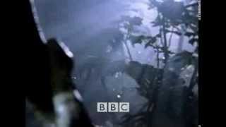 INSTINTO DE SUPERVIVENCIA HUMANA 1  5 BBC DOCUMENTALES [upl. by Finbur731]