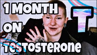 Iva 1 Month on Testosterone [upl. by Sargent]