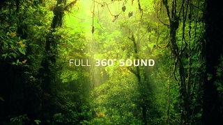 1080p Video With 360 Surround Sound [upl. by Solana]