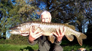 LUCCIO 90 CM pescando con la boa in movimento [upl. by Sousa]