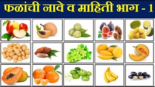 फळांची नावे व माहिती मराठी प्रकल्प  Fruit Names amp Informtion Project  Falanchi Nave marathi [upl. by Nillek]