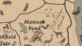 Red Dead Redemption 2 Loot box Mattock pond [upl. by Oiramel]