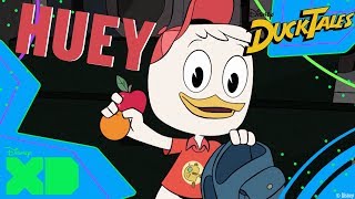 DuckTales  Whos Who Huey  Disney XD [upl. by Syla632]