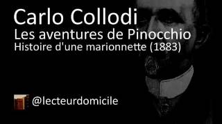 Les aventures de Pinocchio  Carlo Collodi  05 [upl. by Aketahs]