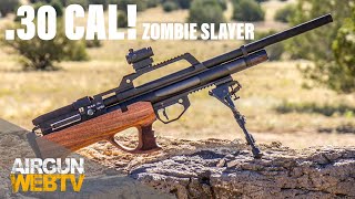 30 CAL Evanix Zombie Slayer  Testing the MAX Air for speed and accuracy with a RED DOT [upl. by Adnomal]