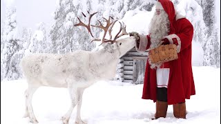 Message of Santa Claus in Lapland for kids 🎅🦌🎄 Christmas is coming soon Father Christmas amp children [upl. by Yerdua]