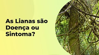 AS LIANAS EM ÁREAS DEGRADADAS SÃO DOENÇA OU SINTOMA [upl. by Aynas]