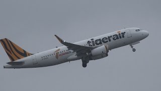 Tigerair Taiwan Airbus A320200 B50001 NRTRJAA [upl. by Coco]