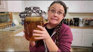 Saving a 3 month KOMBUCHA SCOBY [upl. by Aman]