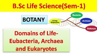 Domains of lifeEubacteria Archaea and Eukaryotes [upl. by Ottilie]