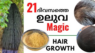 Fenugreek Hair Benefits Natural hair care with Fenugreek water [upl. by Naot]