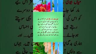 میاں بیوی کے رشتے flute music cover ringtone recorder quotes ncsringtone musiclove poetry [upl. by Noelc3]