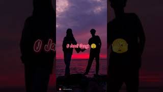 Badami Rang 🥵  Slowed amp Reverb WhatsApp Status  Full Screen Status  Lyrics  Nikk  shorts [upl. by Cleasta]