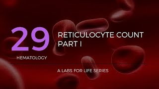 Reticulocyte Count Part I [upl. by Fletch]