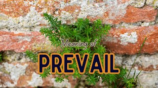 What is the meaning of Prevail [upl. by Onihc485]