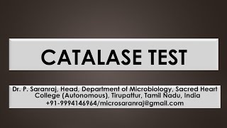 Catalase test [upl. by Nonregla]