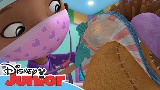 Doktor McStuffins Lejonet Svantes krossade hjärta  Disney Junior Sverige [upl. by Hannover]