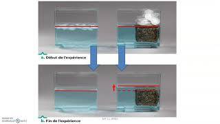 Réchauffement climatique et variation du niveau marin [upl. by Mita825]