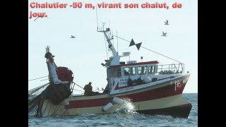 CHALUTIER EN PECHE 50 VIRANT SON CHALUT [upl. by Punke]