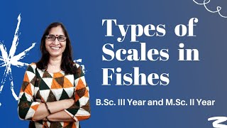 Types of scales in Fishes l BSclll Year and MSc ll Year l Dr Ranjana Gupta l [upl. by Attenwad]