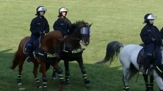 Reiterstaffel Bundespolizei Berlin auf Hengstparade NeustadtDosse 2016 [upl. by Renard]