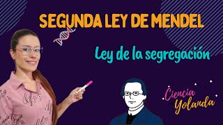 Ejercicio resuelto LA SEGUNDA LEY DE MENDEL Explicación rápida y sencilla [upl. by Decima357]