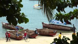 Zanzibar Song of Njiwa by The Peter Ulrich Collaboration [upl. by Neelie]